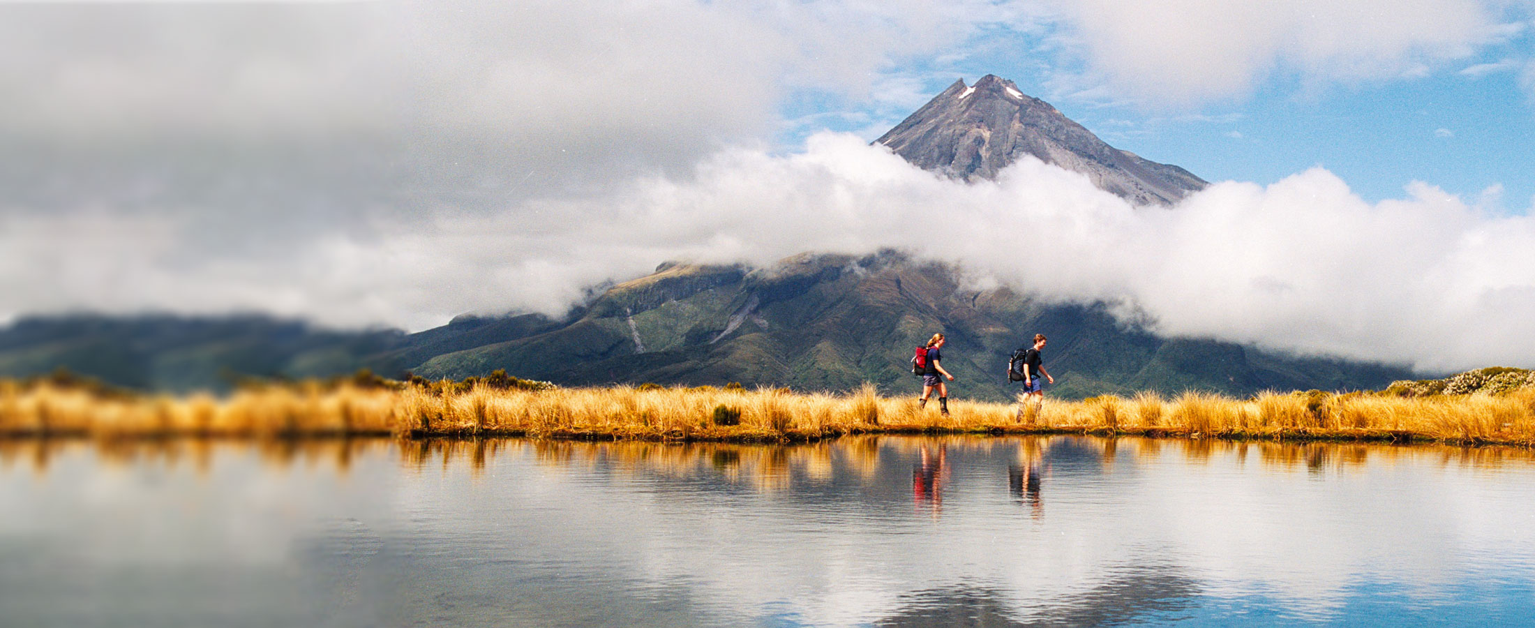 NZ Government embarks on roadmap to enhanced cyber security with TechnologyOne SaaS